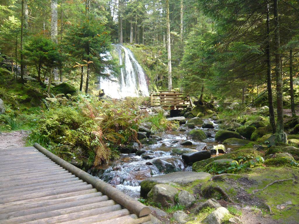 Chalet Luxe 12 Personnes Spa Sauna Vosges-Gerardmer Le Tholy Bagian luar foto