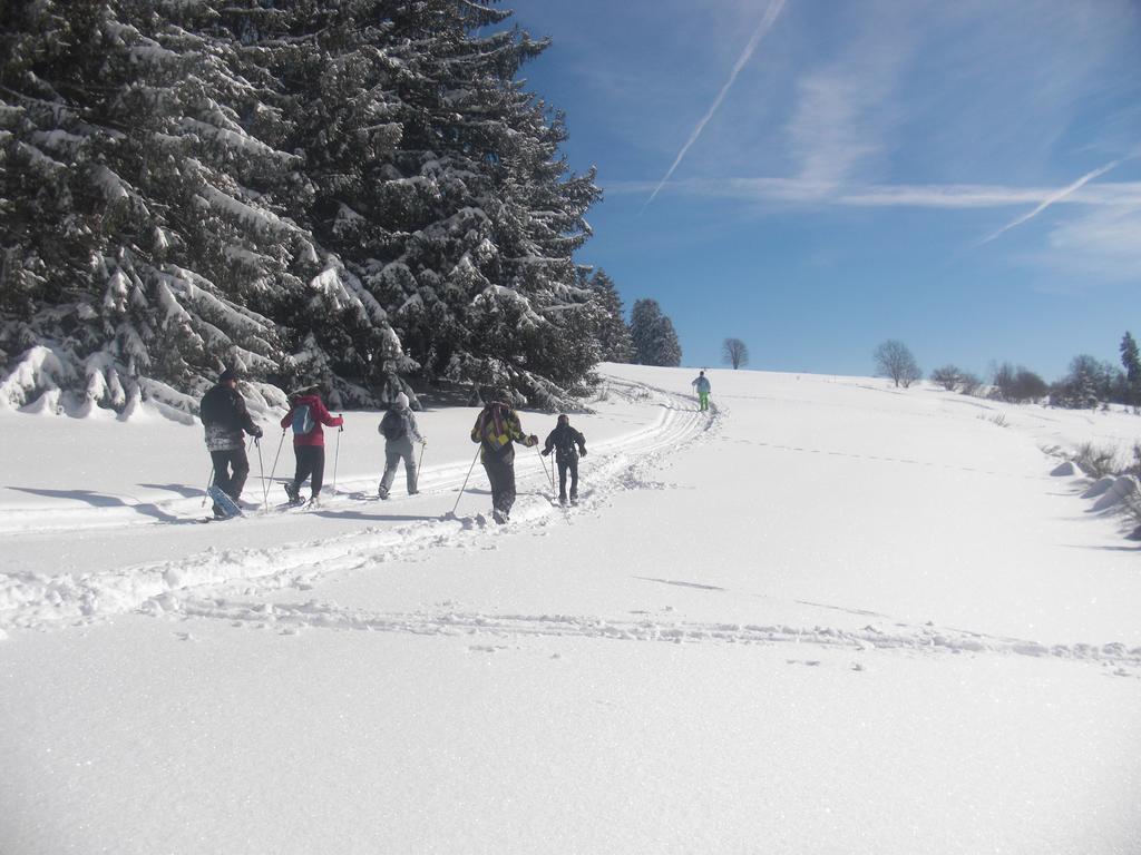 Chalet Luxe 12 Personnes Spa Sauna Vosges-Gerardmer Le Tholy Bagian luar foto