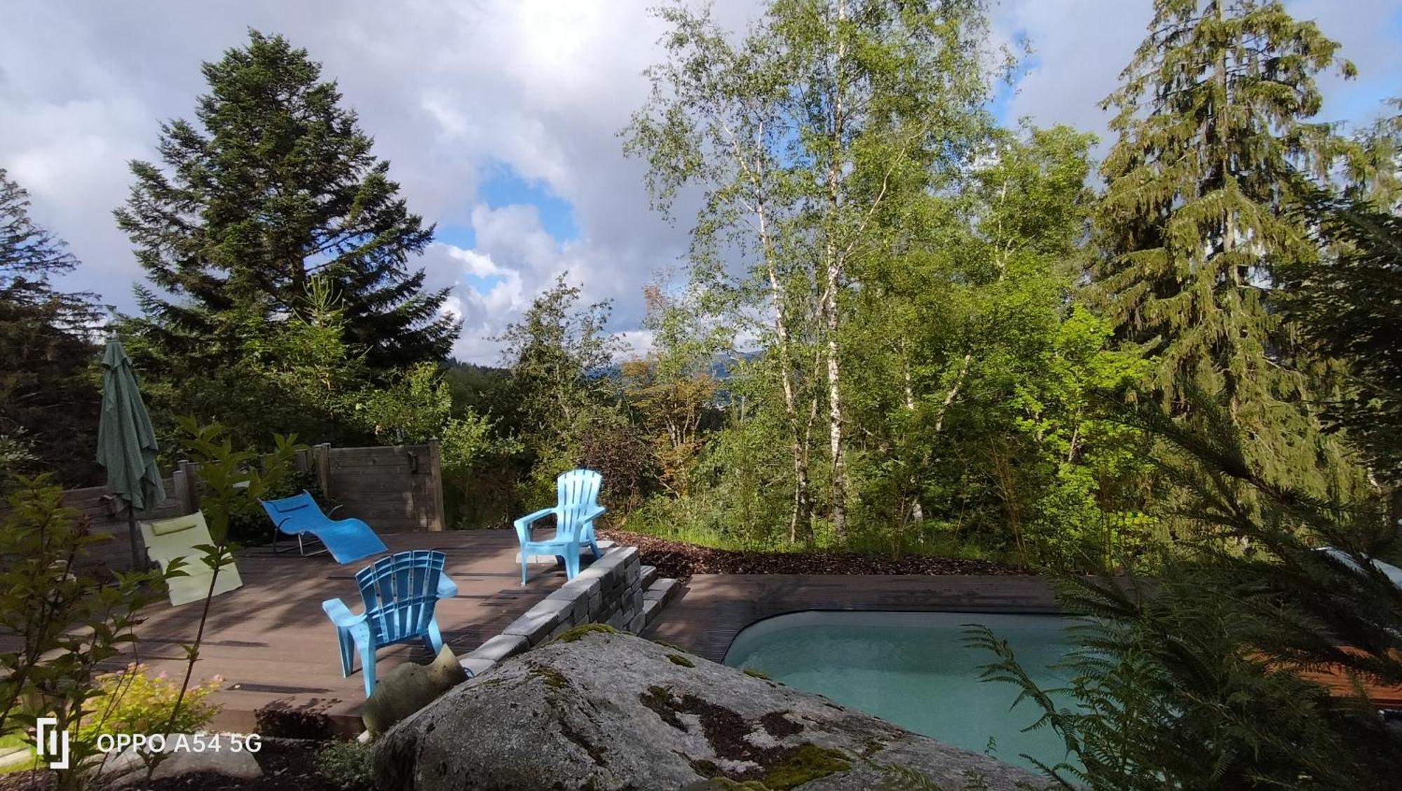 Chalet Luxe 12 Personnes Spa Sauna Vosges-Gerardmer Le Tholy Bagian luar foto