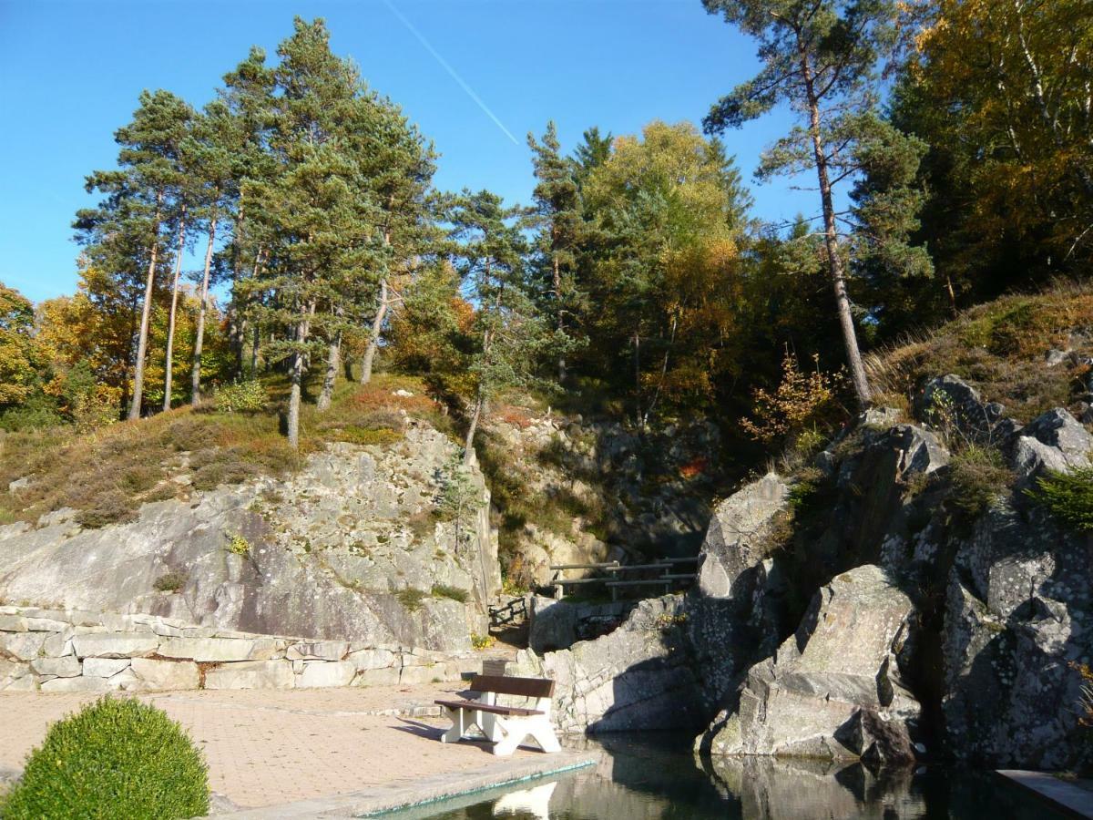 Chalet Luxe 12 Personnes Spa Sauna Vosges-Gerardmer Le Tholy Bagian luar foto