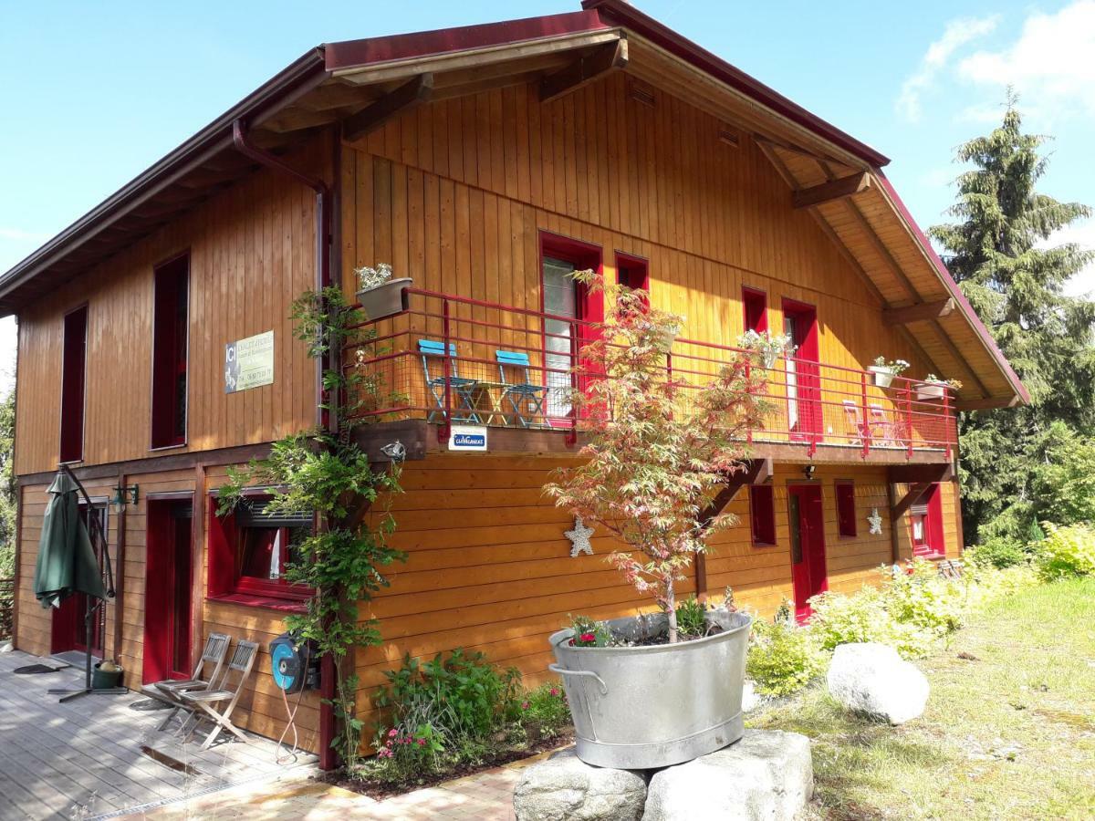 Chalet Luxe 12 Personnes Spa Sauna Vosges-Gerardmer Le Tholy Bagian luar foto