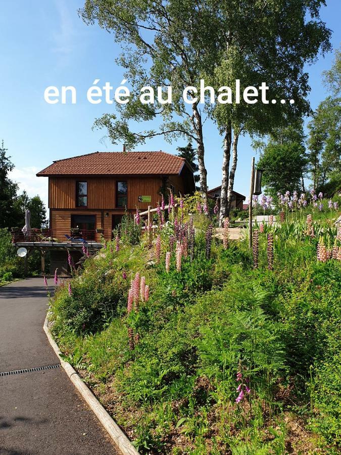 Chalet Luxe 12 Personnes Spa Sauna Vosges-Gerardmer Le Tholy Bagian luar foto